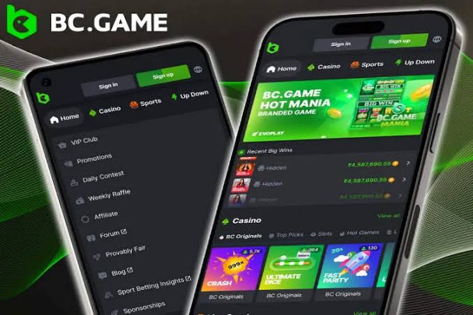 Explore the World of Casino Crypto with BC Fun